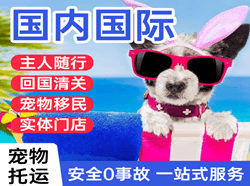 海口机场邮寄国际宠物托运 【国